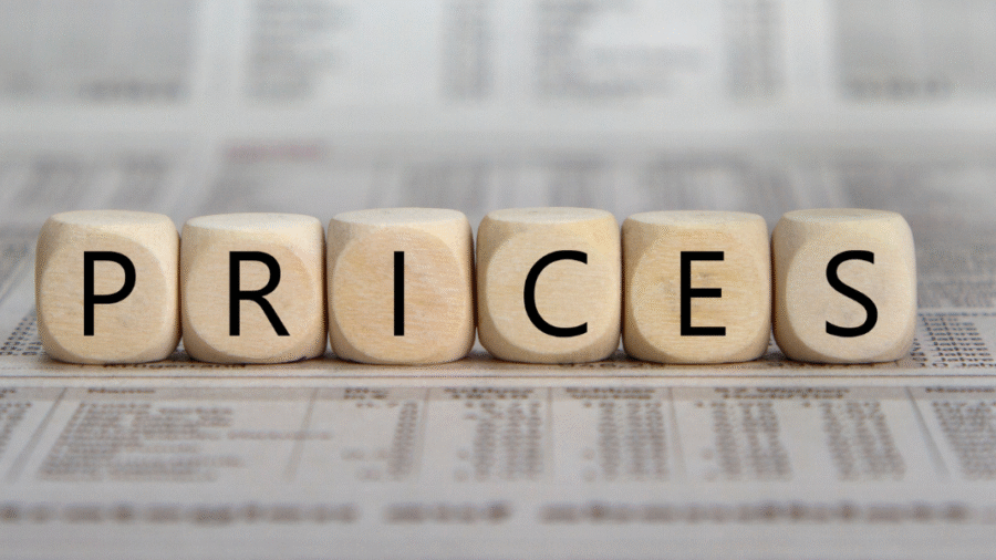 Consultor decidiendo si publicar los precios en su web.